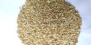 Brown Buckwheat Hull