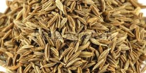Cumin Seeds