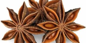 Dried Star Anise