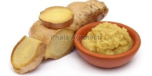 Ginger Paste