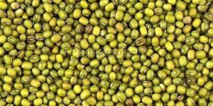 Green Moong Dal