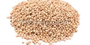 Jowar Grains
