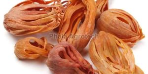 Light Brown Dried Mace Spice