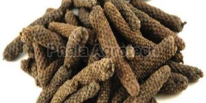 Long Pepper