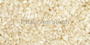 Non Basmati Broken Rice