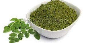 Organic Moringa Powder