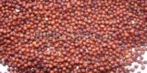 Red Ragi Finger Millet