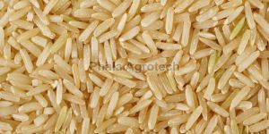 Sona Masoori Rice Brown