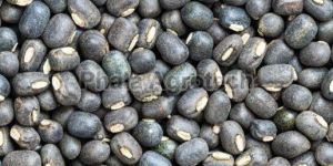 Whole Urad Gram