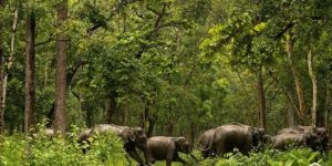 Tour Operators