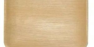 10 Inch Square Areca Leaf Plate