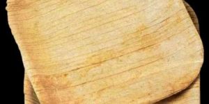 7 Inch Square Areca Leaf Plate