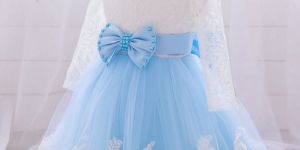 Full Sleeve Girls Party Wear Net Frock