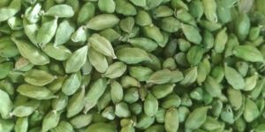 Green Cardamom
