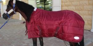 Horse Stable Blanket