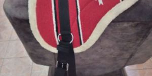 Horse Premium Saddle