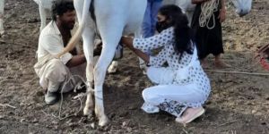 Donkey Milk