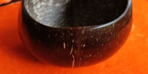 Coconut Shell Bowl