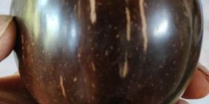 Coconut Shell Cups
