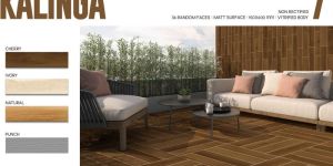 Kalinga Porcelain Border Tiles