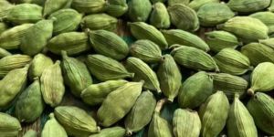 Green Cardamom