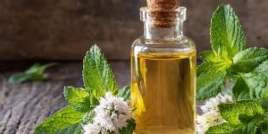 Peppermint Essential Oil