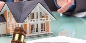 Property Legal Consultant