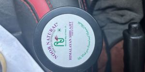 Shilajit Extract