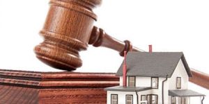 Property Legal Consultant