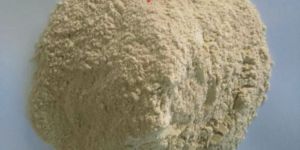 Dehydrate Garlic Powder