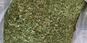 Dried Coriander Leaves