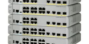 c1000-16t-2g-l networking switch