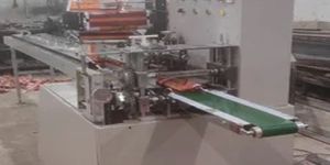 Semi Automatic Rusk Packing Machine