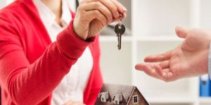 Real Estate Consultant