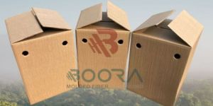 Corrugated Egg Box (Layer Egg)