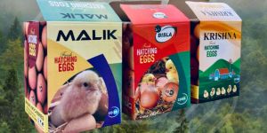 Printed Hatching Egg Box