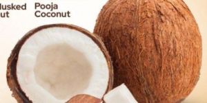 Semi Husked Coconut
