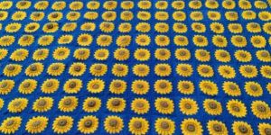 Crochet Blanket