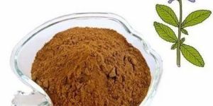 Coleus Extract Powder
