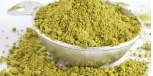 Gymnema Extract Powder