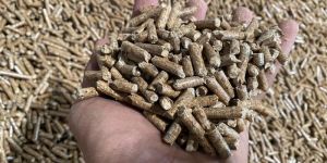 Biomass Wood Pellet 6mm