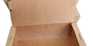 Brown Paper Food Box