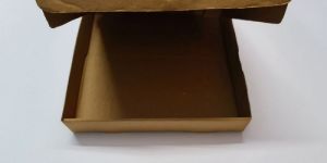 Brown Paper Pizza Box