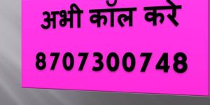 Fully Automatic Single Die Paper Plate Making Machine