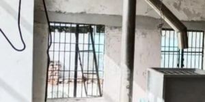 Online Automated Plant Fryums