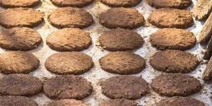 Cow Dung Cake