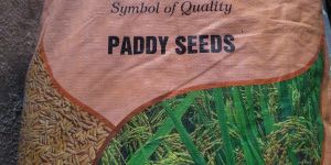 Padmaja Paddy Seed