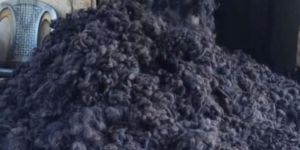 Raw Human Hair