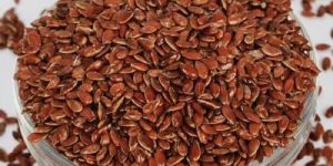 Flax Seeds