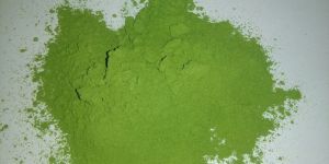 Moringa Powder